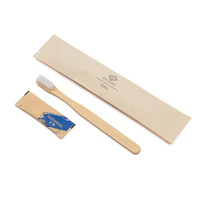 免费样品有机木炭刷毛 OEM 牛皮纸包装竹牙刷套件